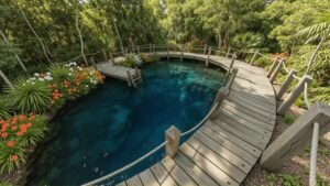 Star Cradle Spring: The quiet heart of Rising Tides